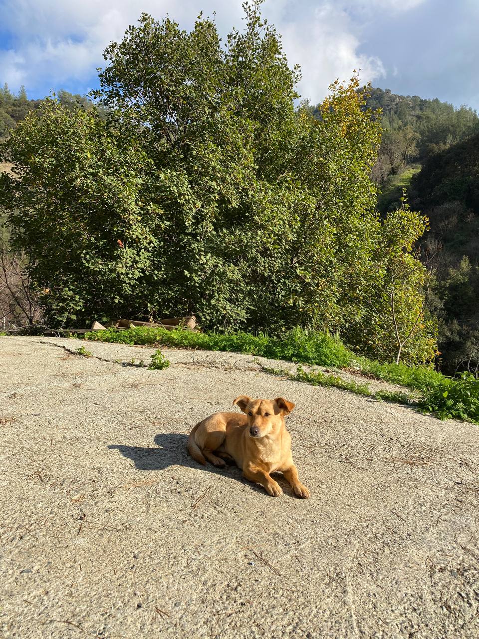 5467f032-9be6-490b-9838-a04c0e1f4a61