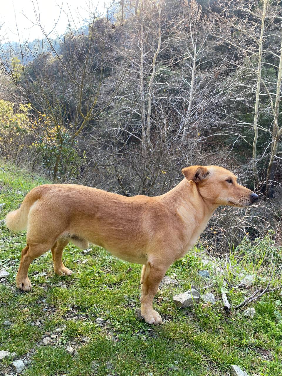 63007bc6-5272-4fb6-a55f-305b5d5ea15a