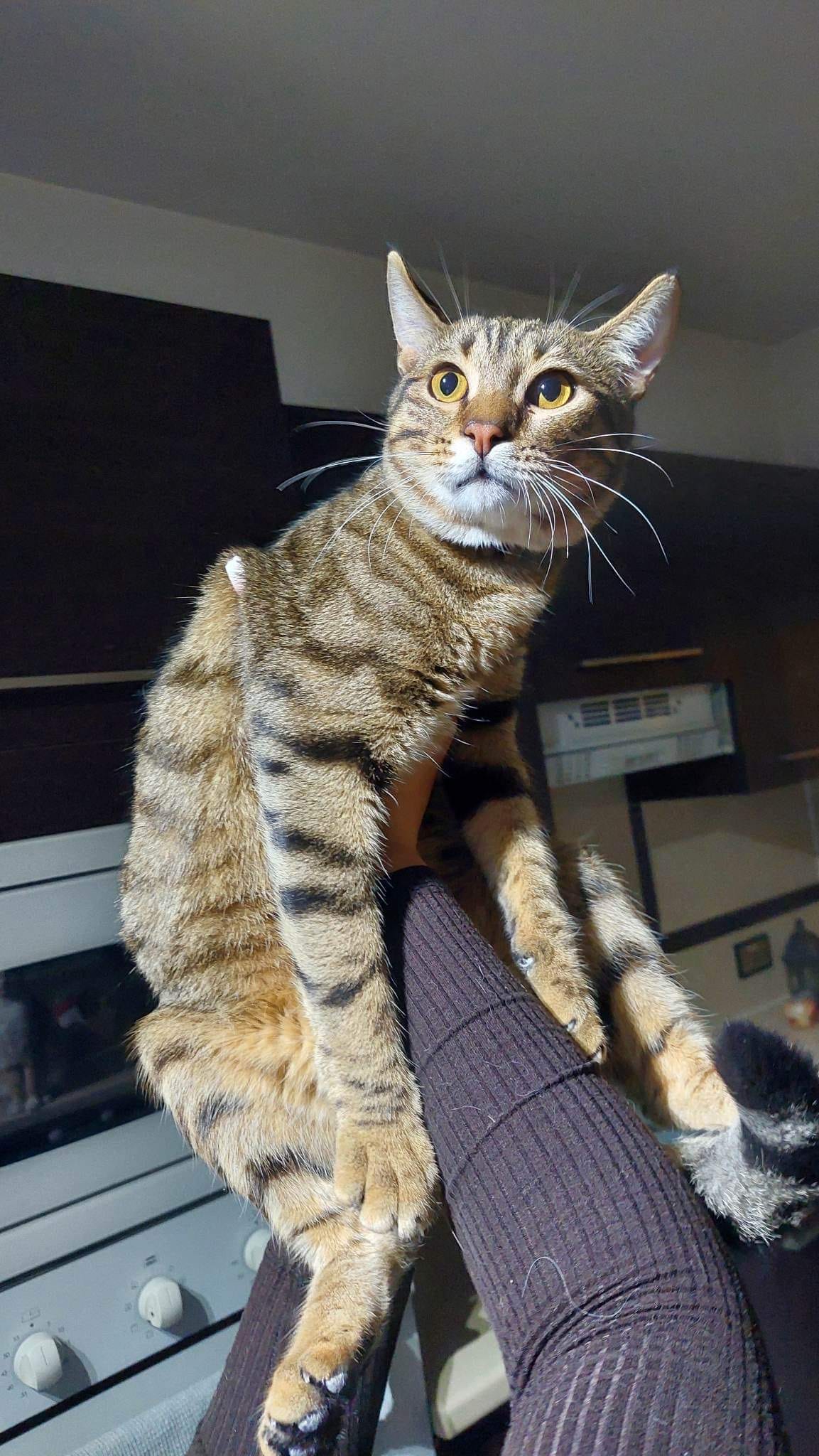 65958D25-9688-4AE7-8F2C-7CA49024A61F