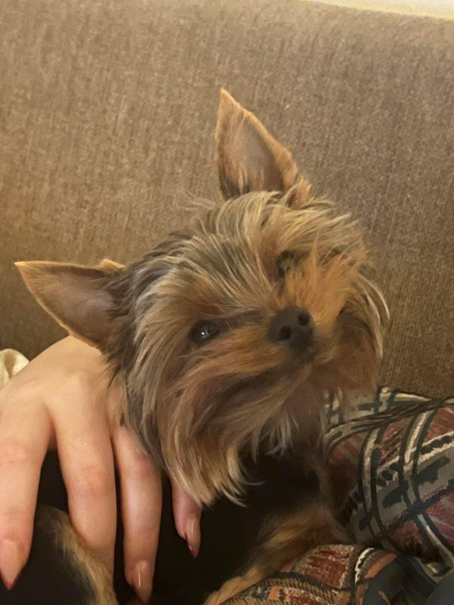 7F20AE1F-79A7-4BB8-97E9-F0A8527841FA