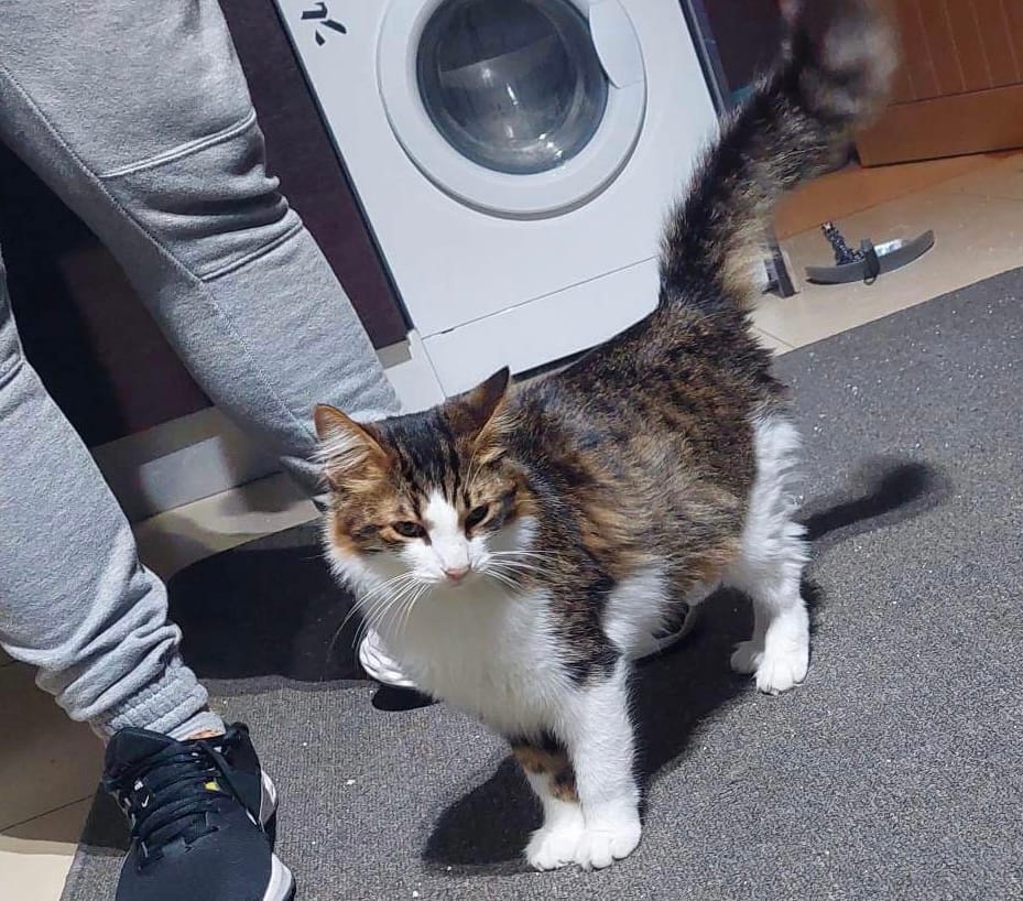 9DF5AC47-5558-442B-A54E-0EBA78C0723D