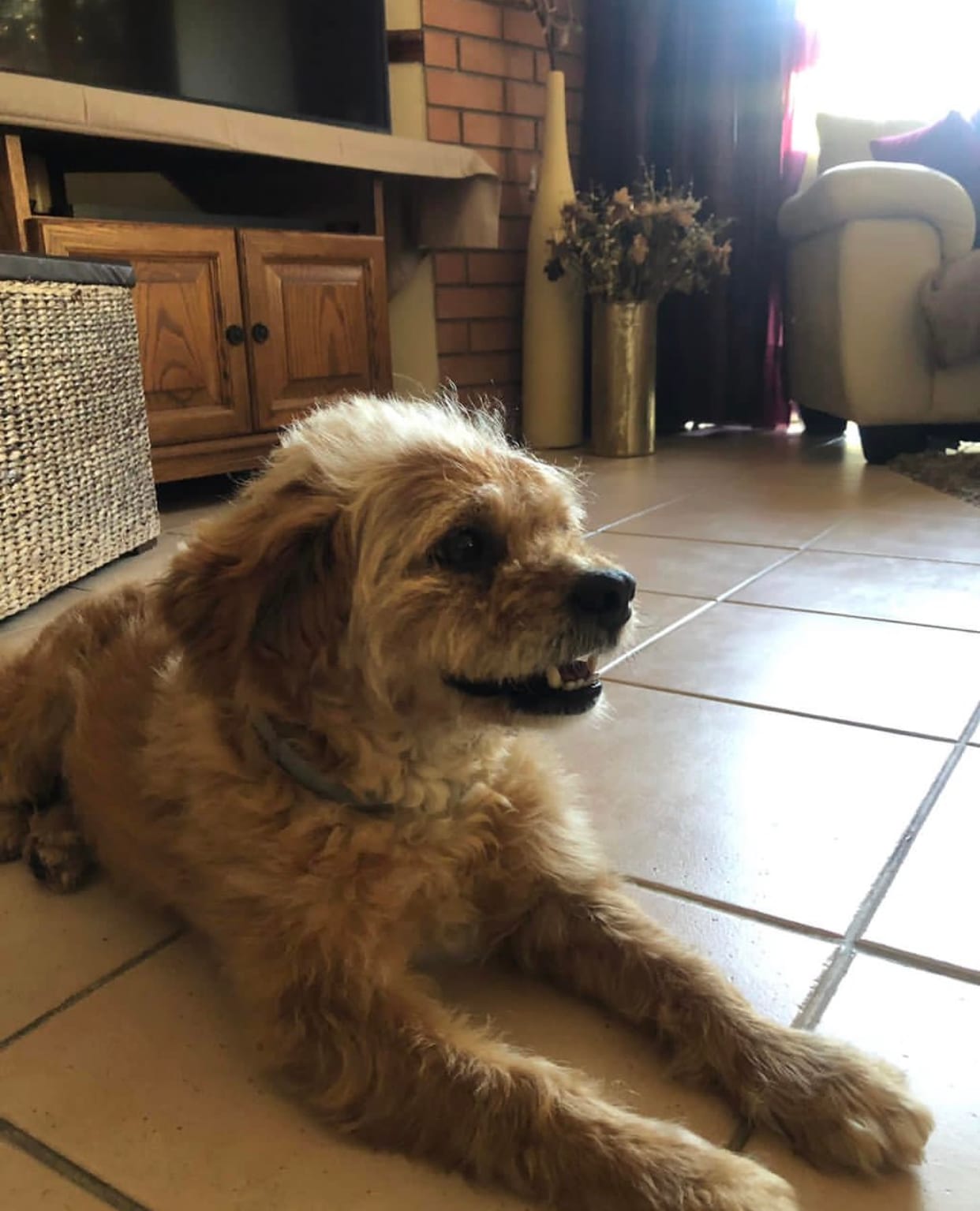 A6D332AC-B08D-4C9C-906D-15C1D78C8A4A