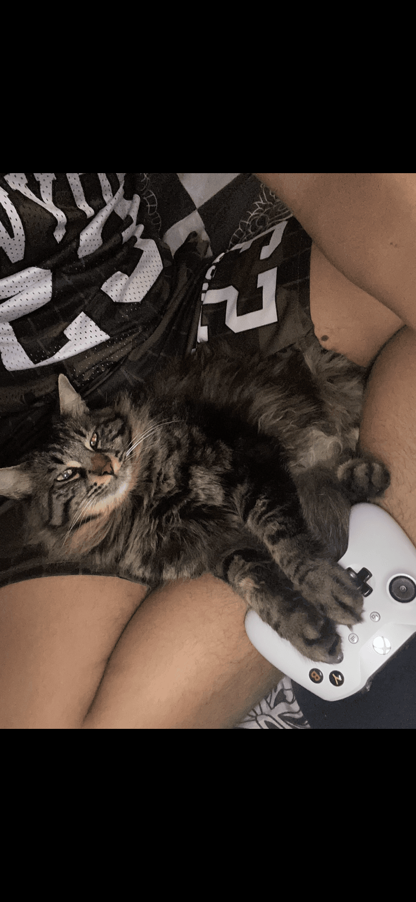 B0C08B1A-4656-411C-94EE-27D468CC6402