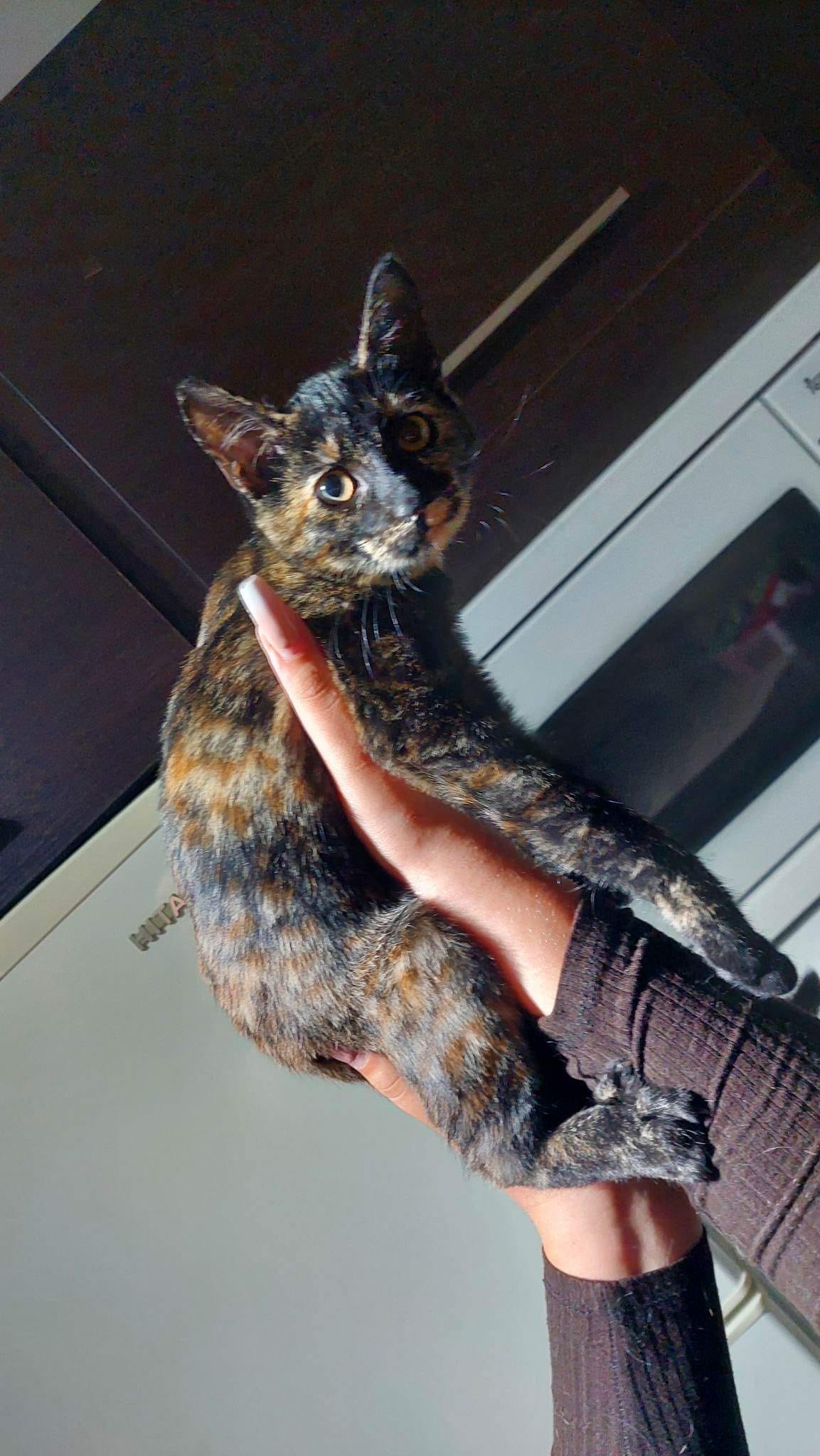 B9B3E3C7-EFCE-497A-AC15-ADA57D0B4CA5