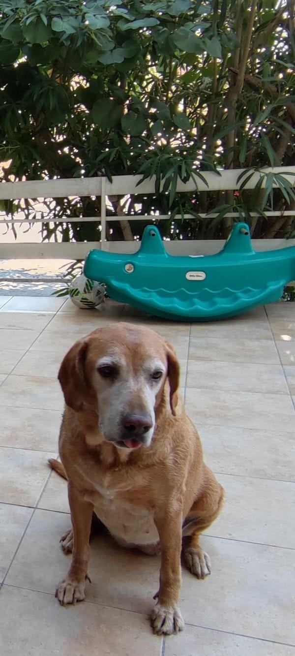 BE4C573A-98D4-4C94-B72C-38F788B89AD2