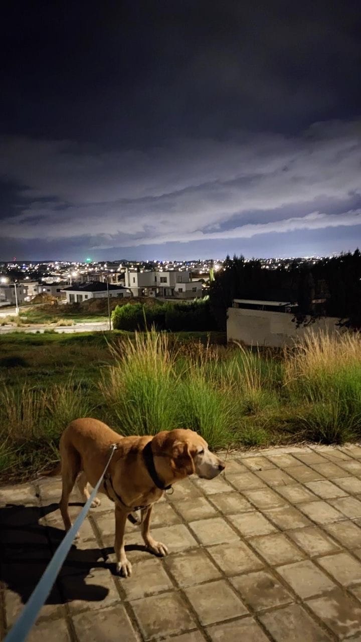 CD30CAB5-FE19-4CA9-B9A7-0AD4BBCFD227