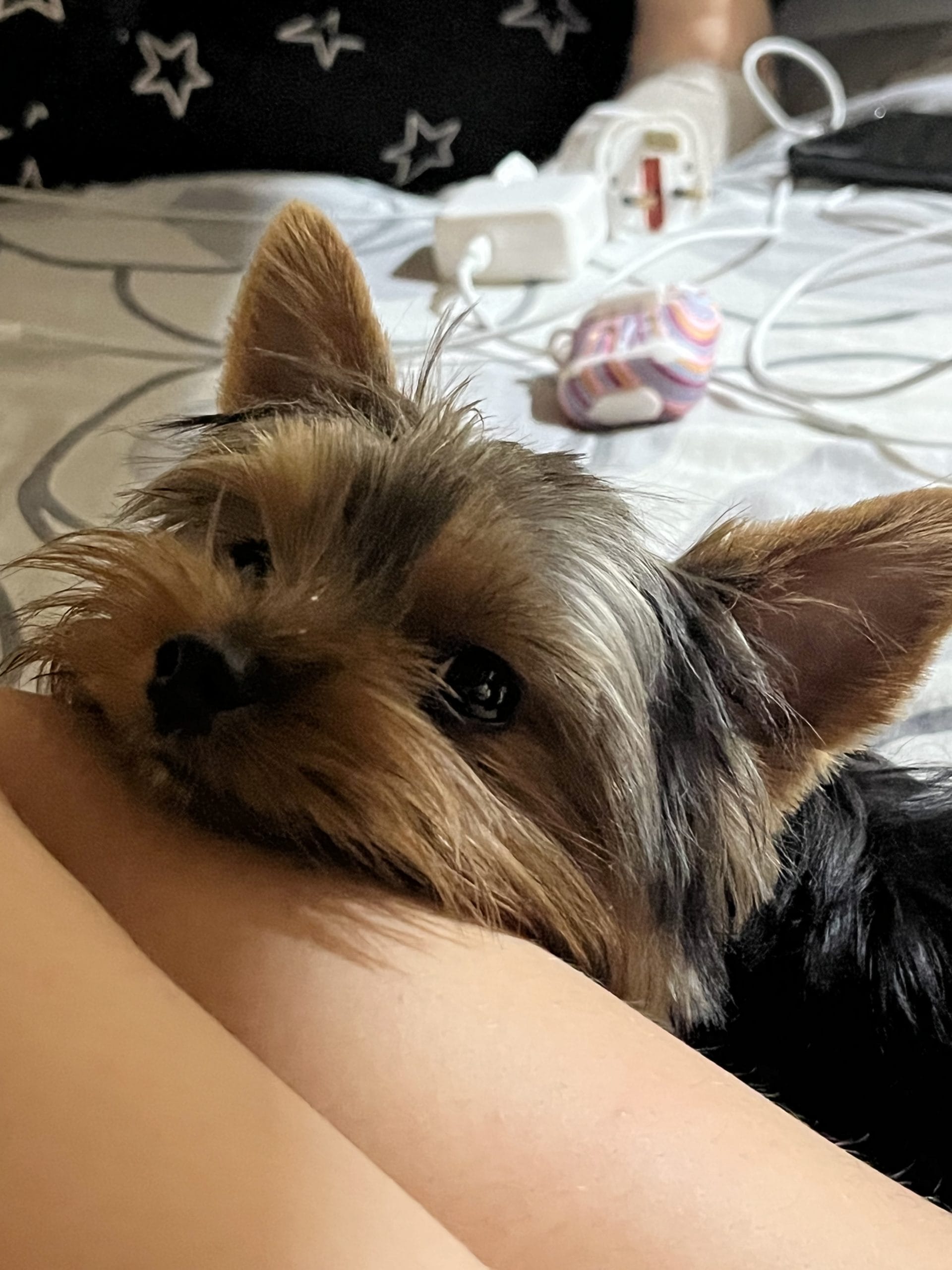 DB4EB5A5-19BB-4878-B17C-BC513FB99523