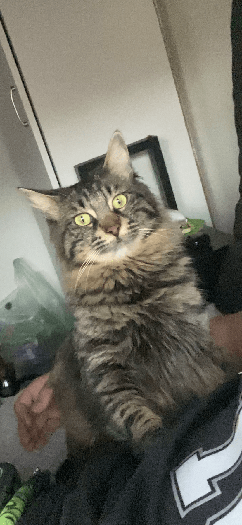 DDAE1CF7-7695-4D0C-B131-0D70BDB490CE