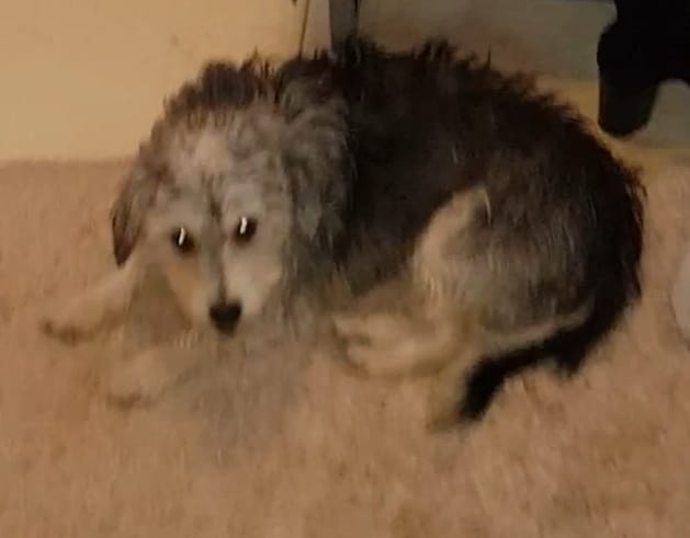 IMG-b353885e86c7ab7f076112e7a26d00e7-V