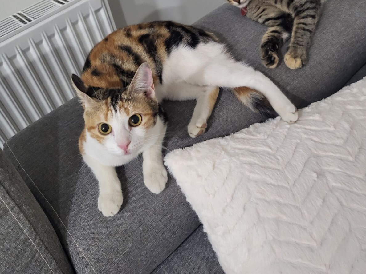 IMG-f0e5174f25440e3bfa536c25497c77aa-V