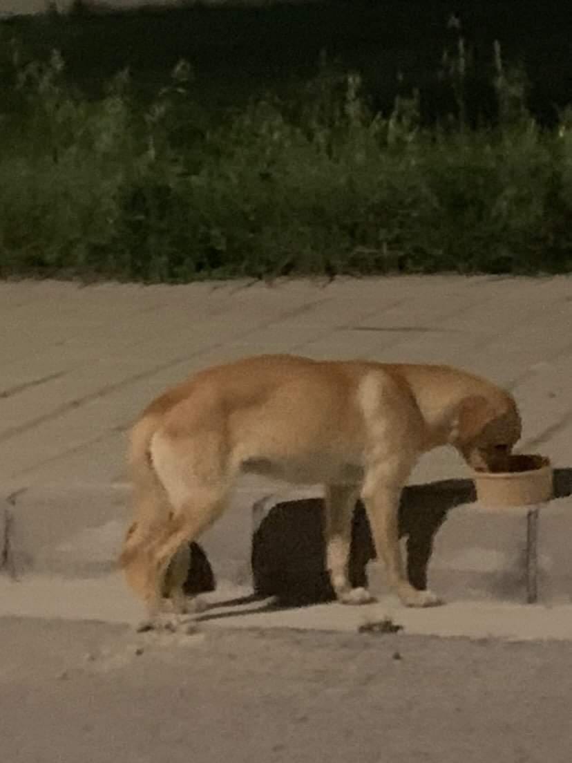 IMG_20230122_231506_051