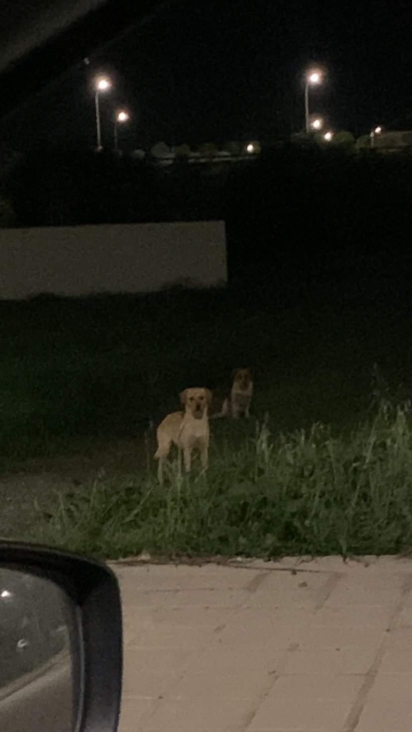 IMG_20230122_231512_155