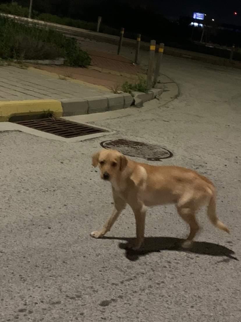 IMG_20230122_231520_856