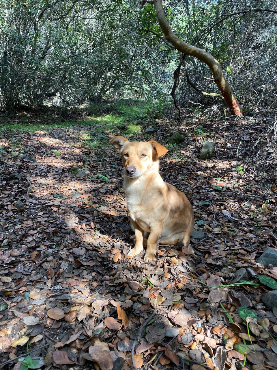 c52d4e2a-ce67-42ef-bbed-6ebfb000c8ec