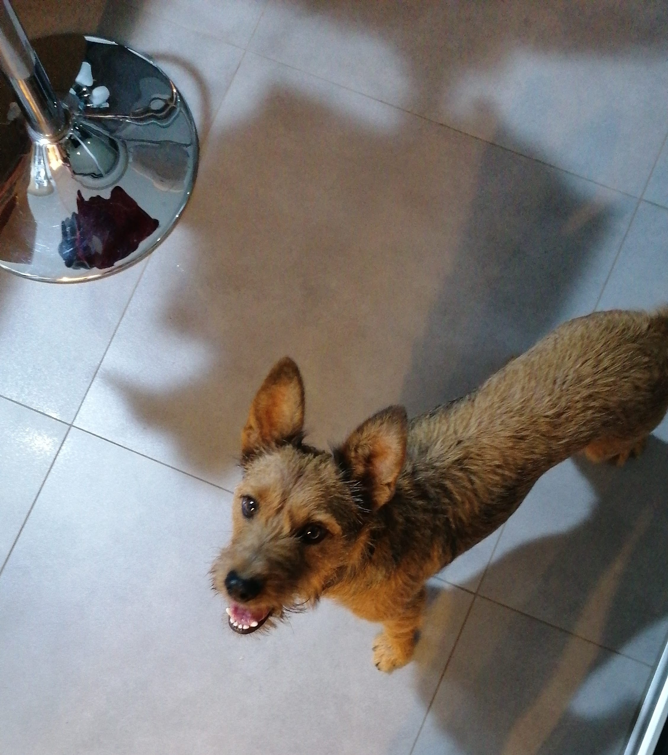 inbound3365115225665763719