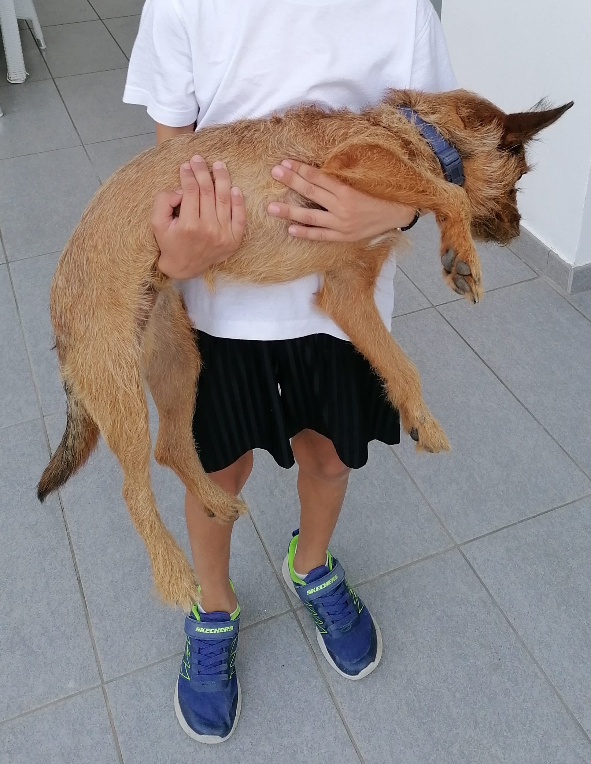 inbound4237499622457124140