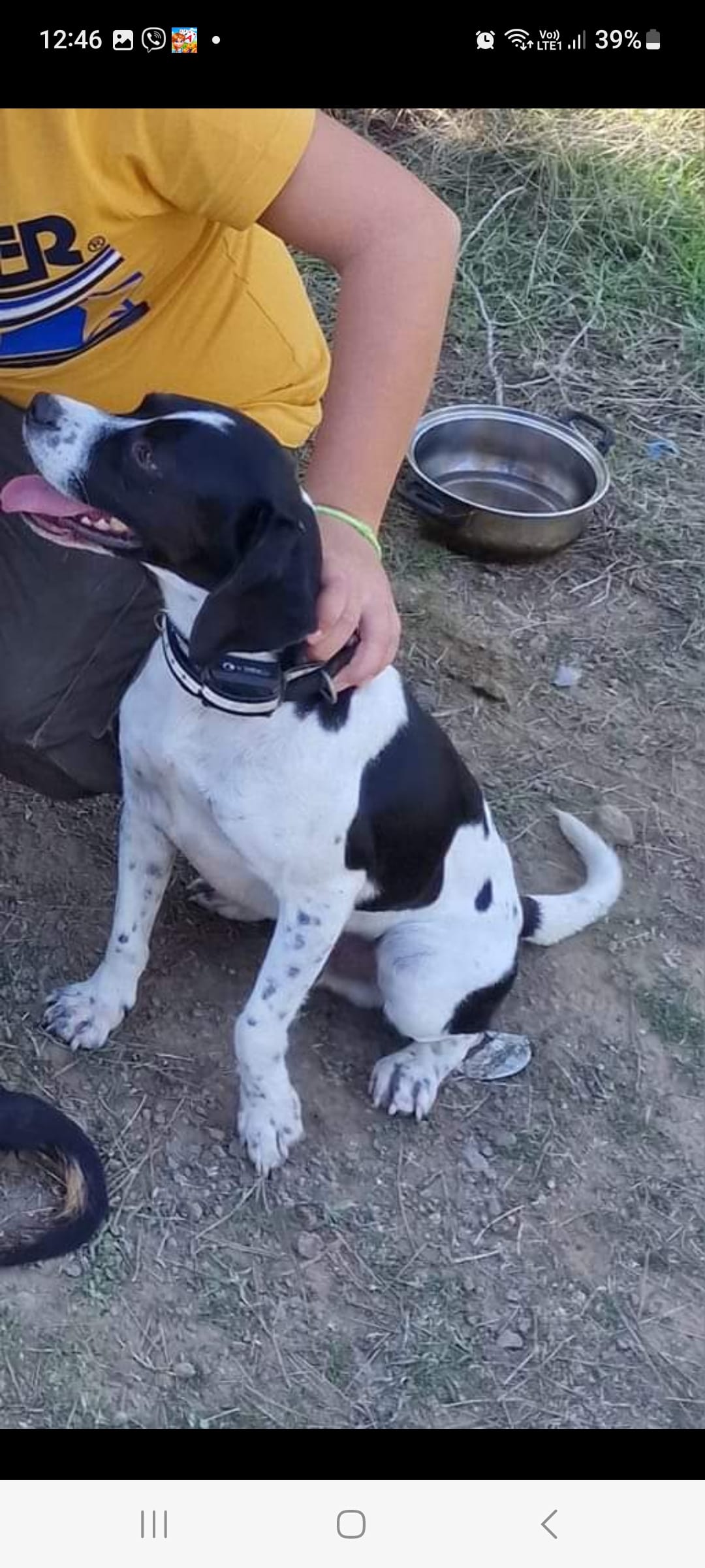 inbound5554386954066009111