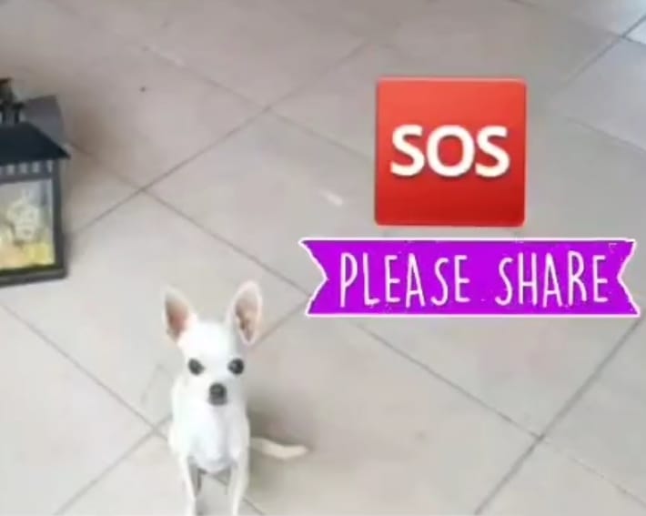 inbound9071442582490037208