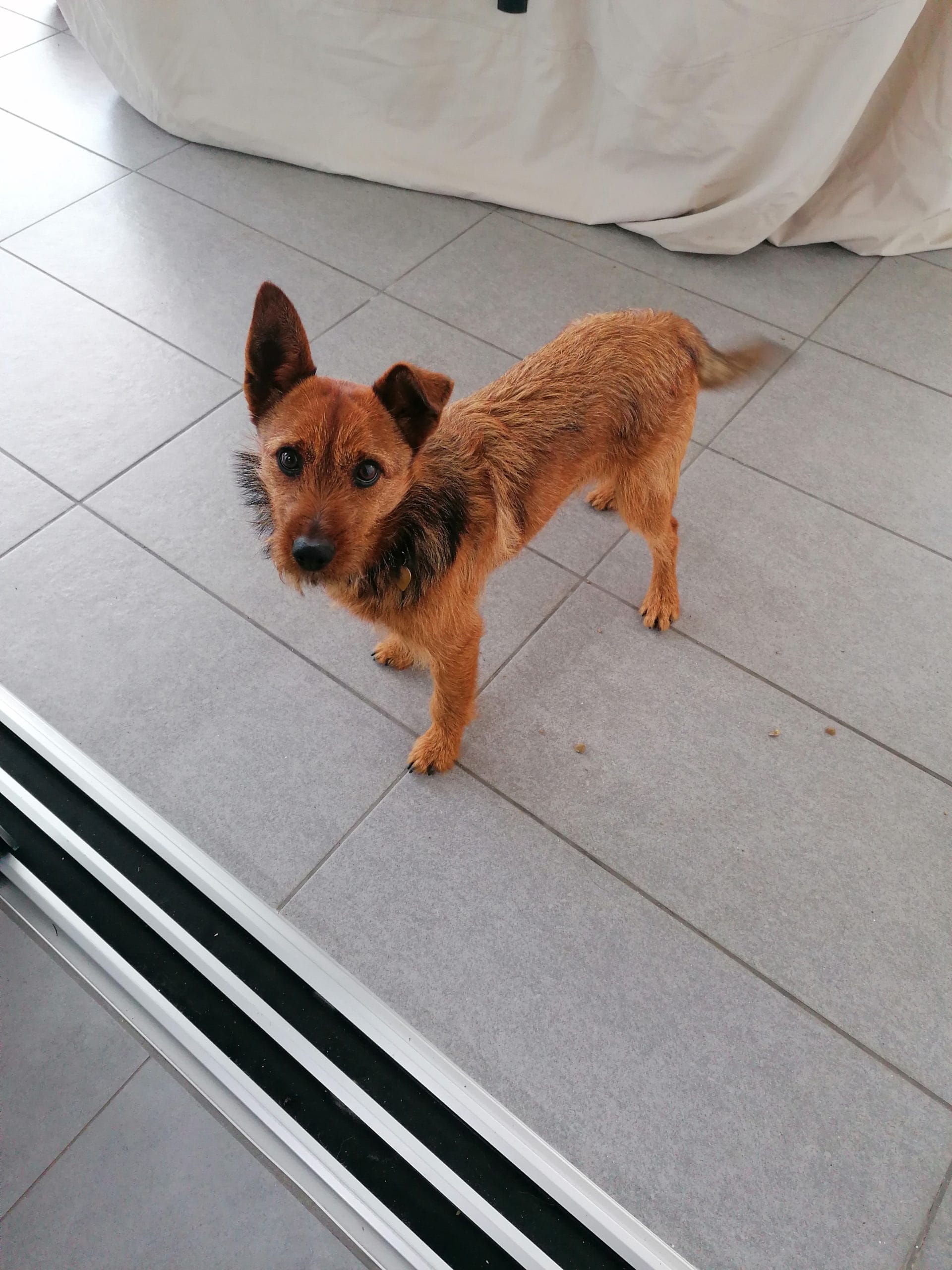 inbound913413788790010382