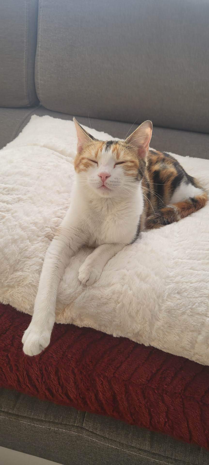 received_897644341673366