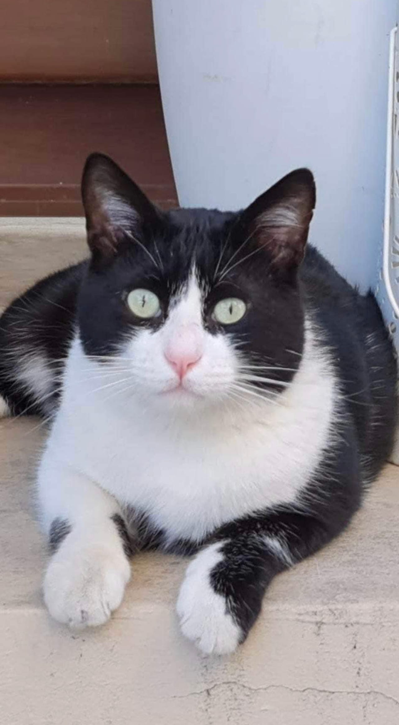 33B8C282-118F-4041-B14B-FE6FF66ED401