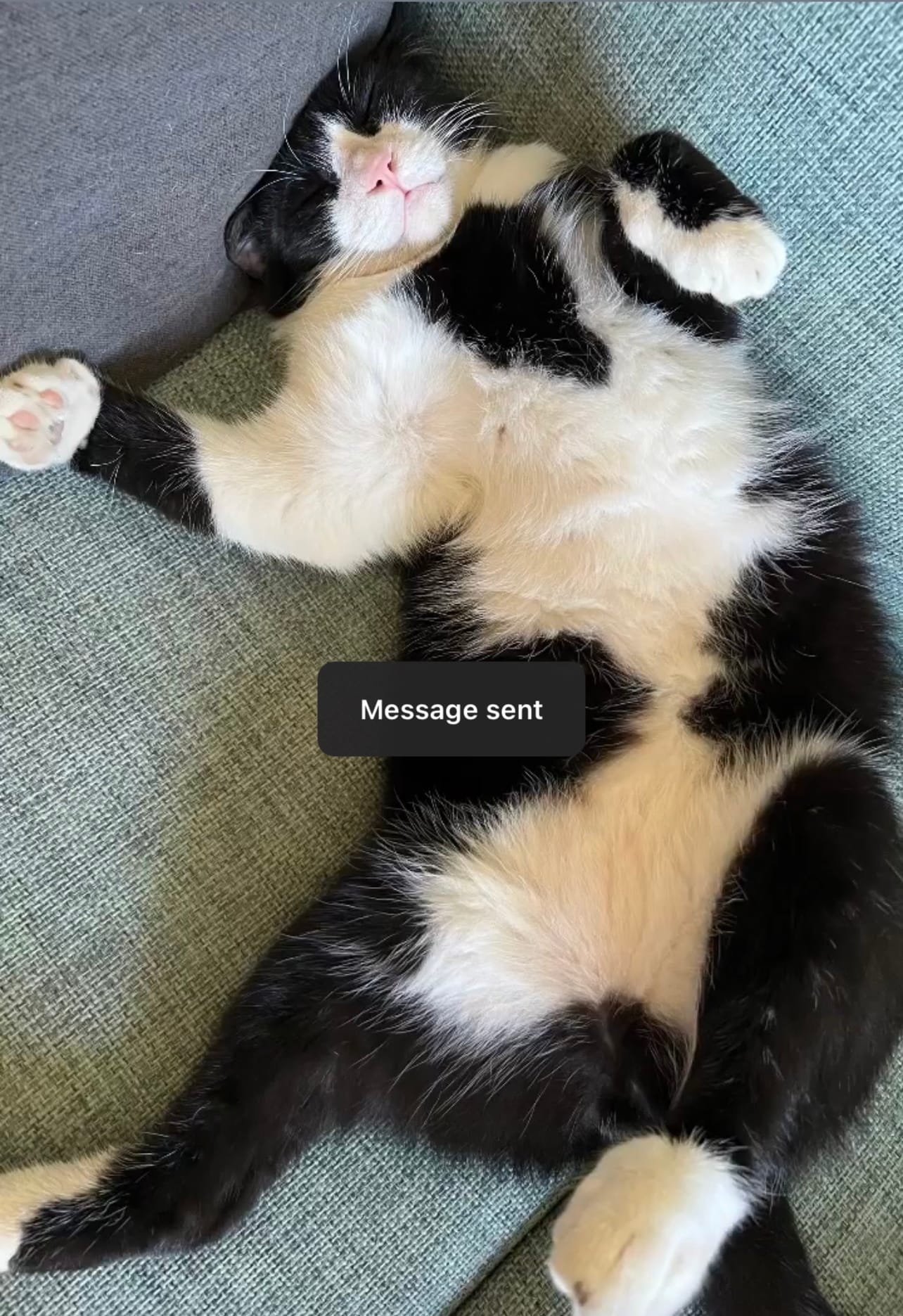 4952671D-9CF1-4C02-9038-6FDF1274C130