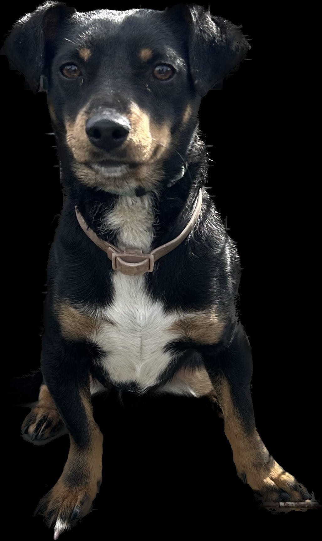 A68FA5AE-A0F3-4041-8E47-C26C0A093845