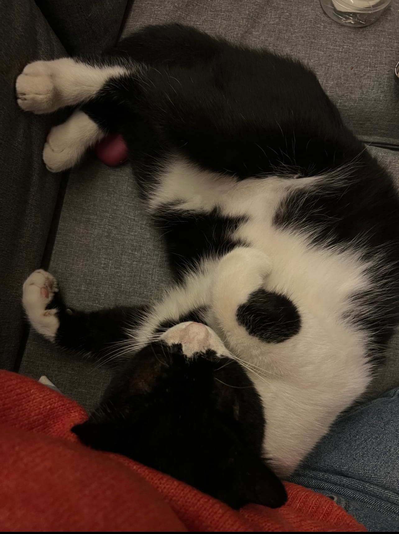 A830674F-DE43-426C-AD92-B5C504A3E452