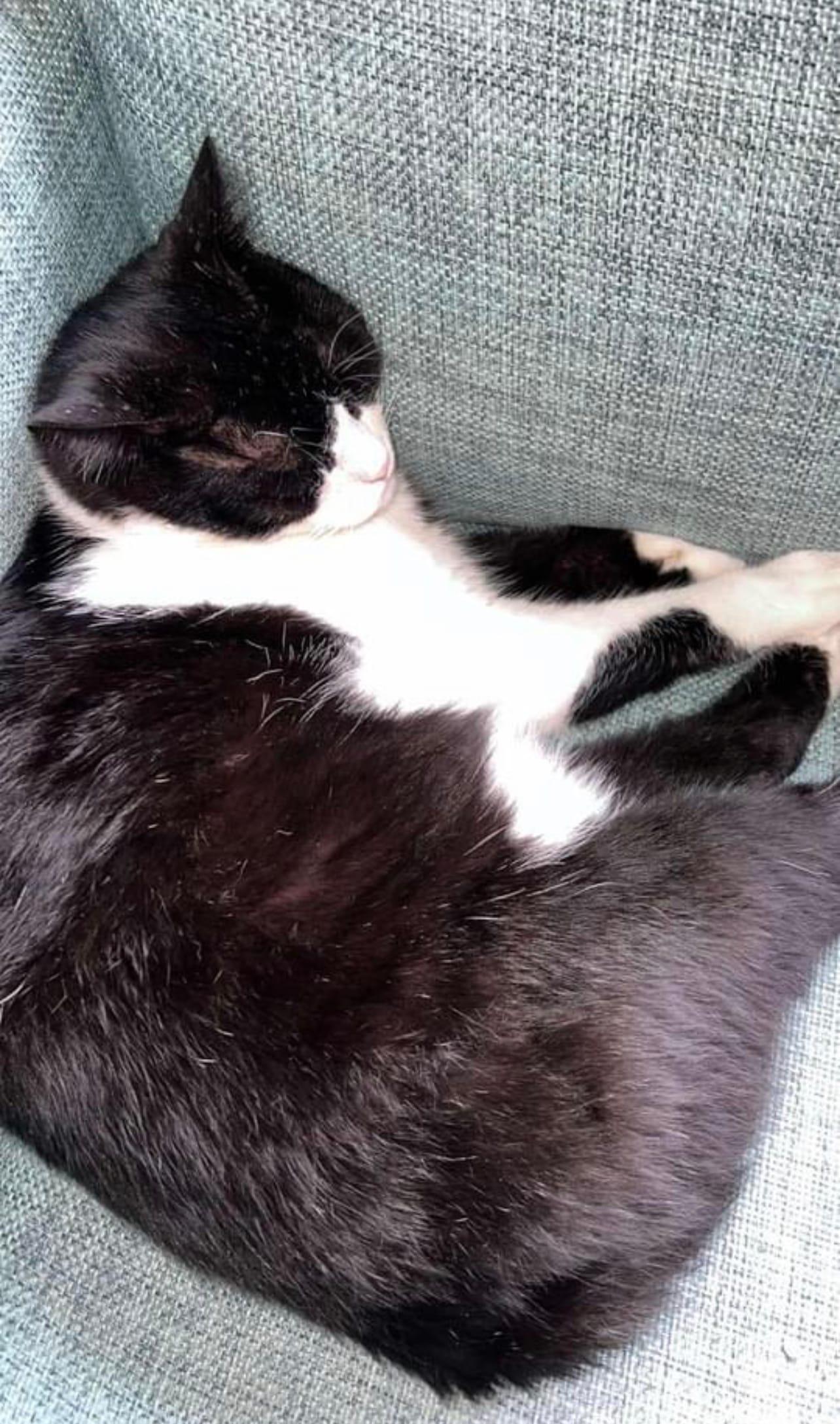 D018E5AA-F2C0-4330-9BFA-D7B267F024A8