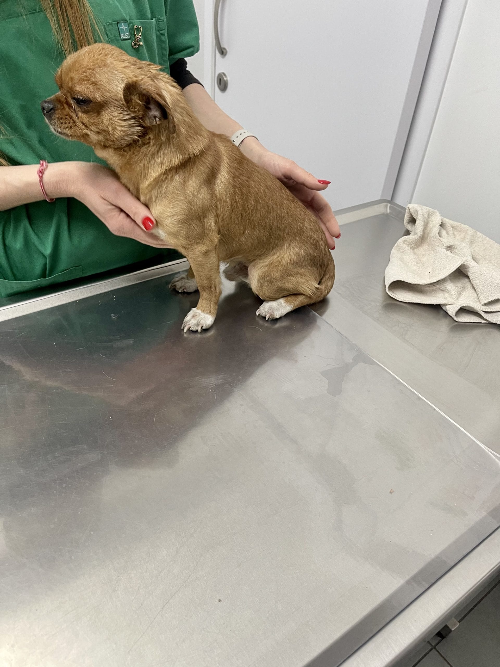 E5288B4F-141A-4C3C-8087-F55567074016