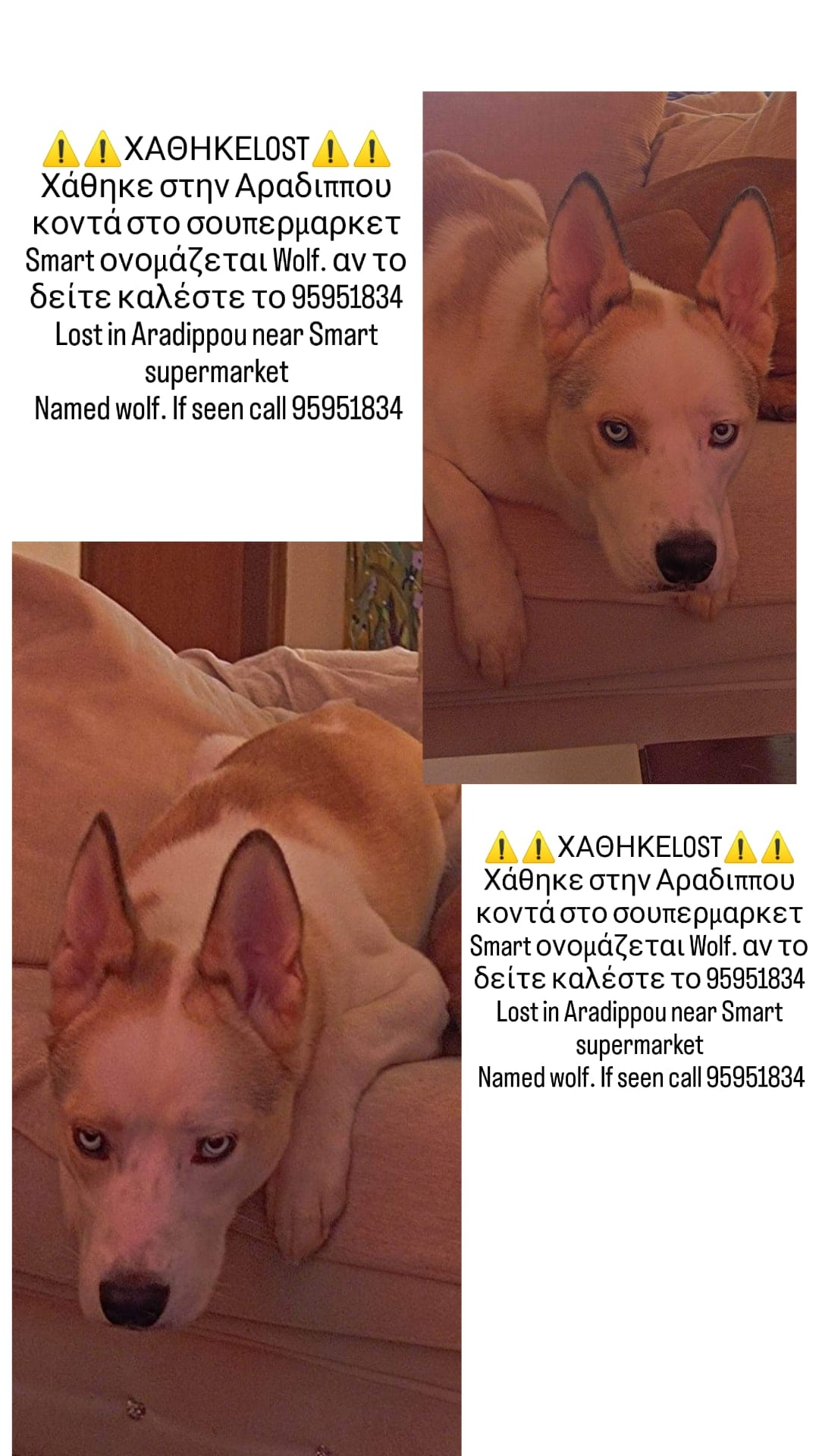 IMG_20230201_120017_549