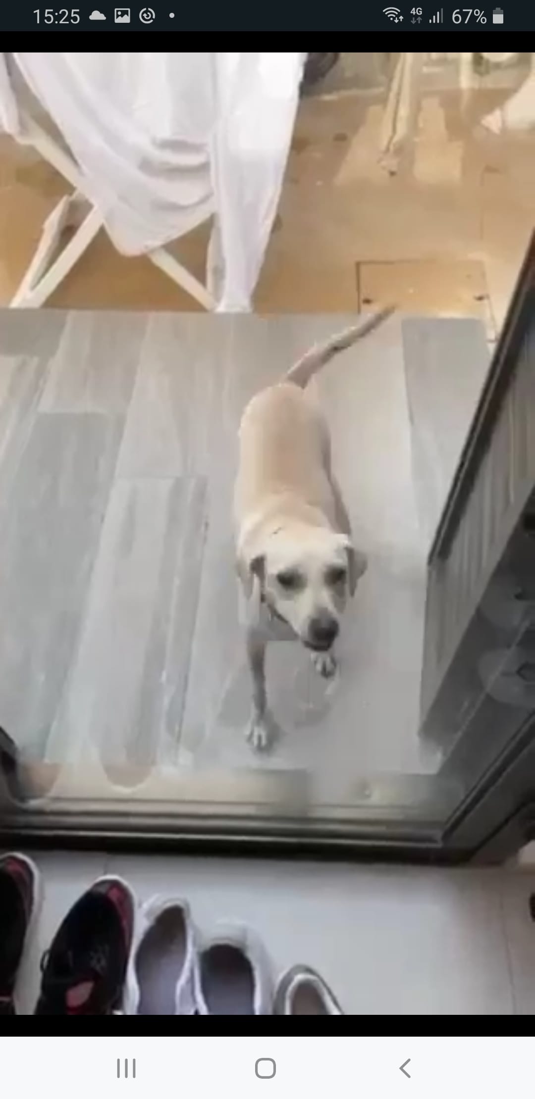 inbound4100182178062809552