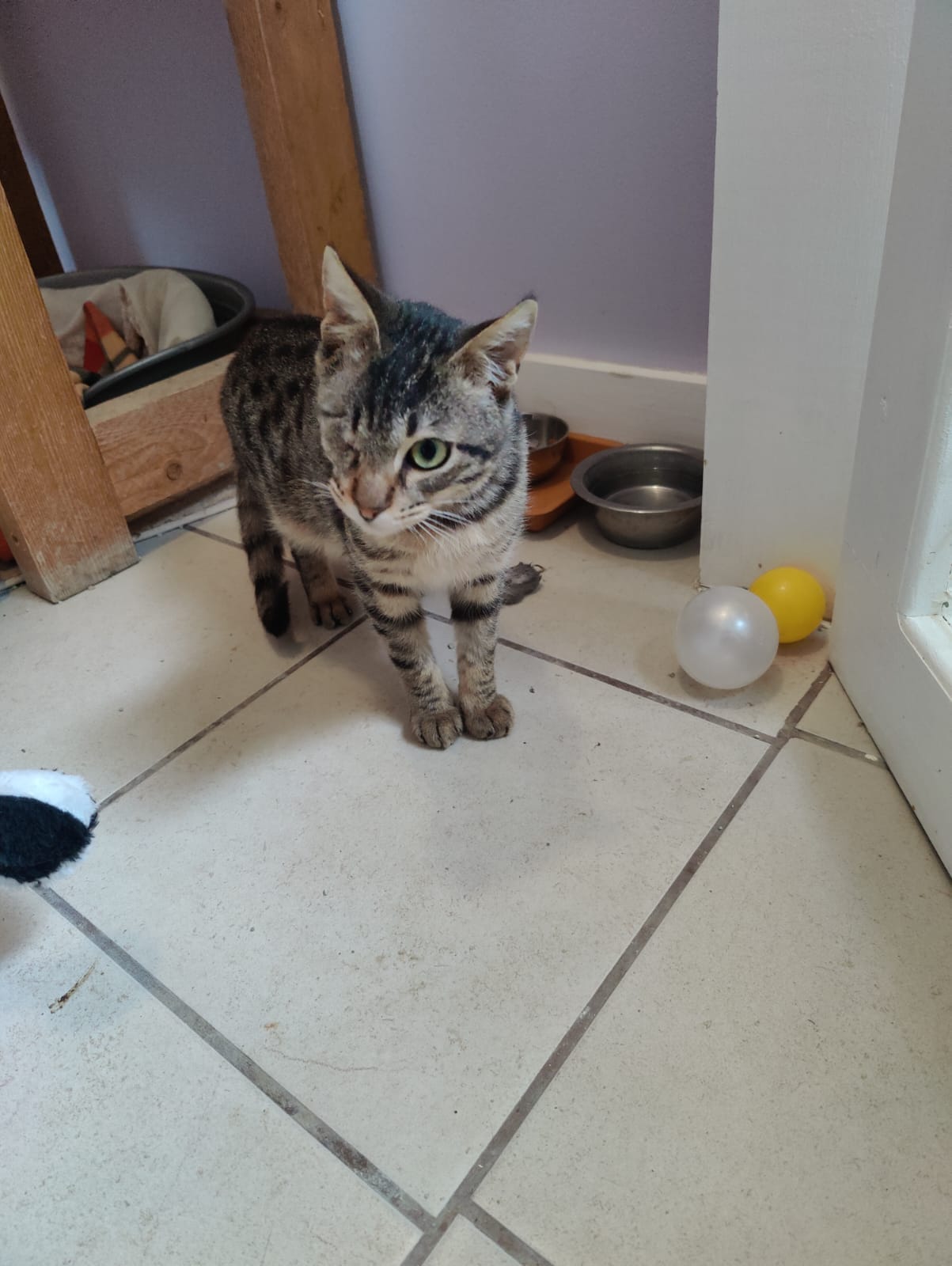 inbound8384651271933664871