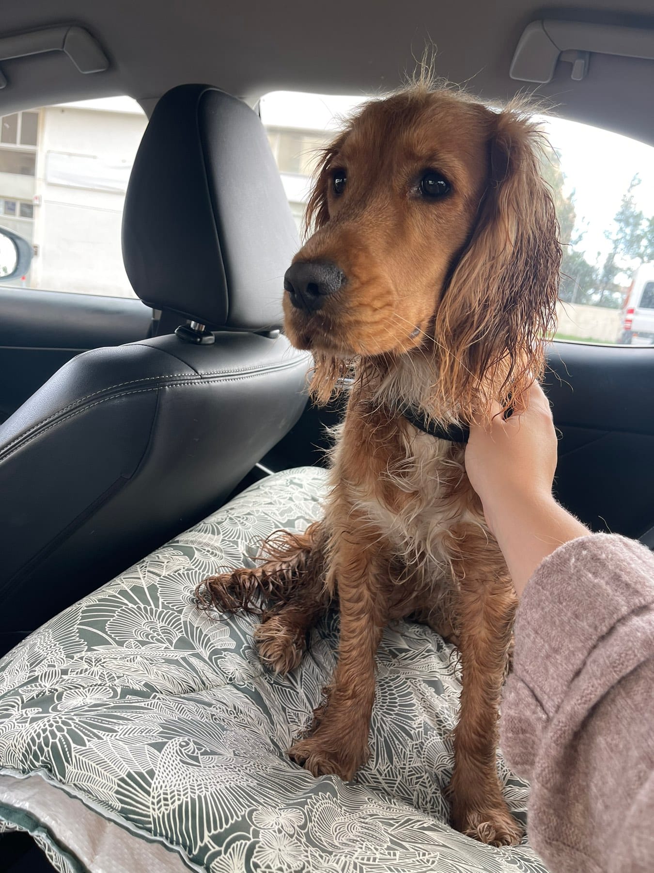 viber_image_2023-02-05_19-05-26-749