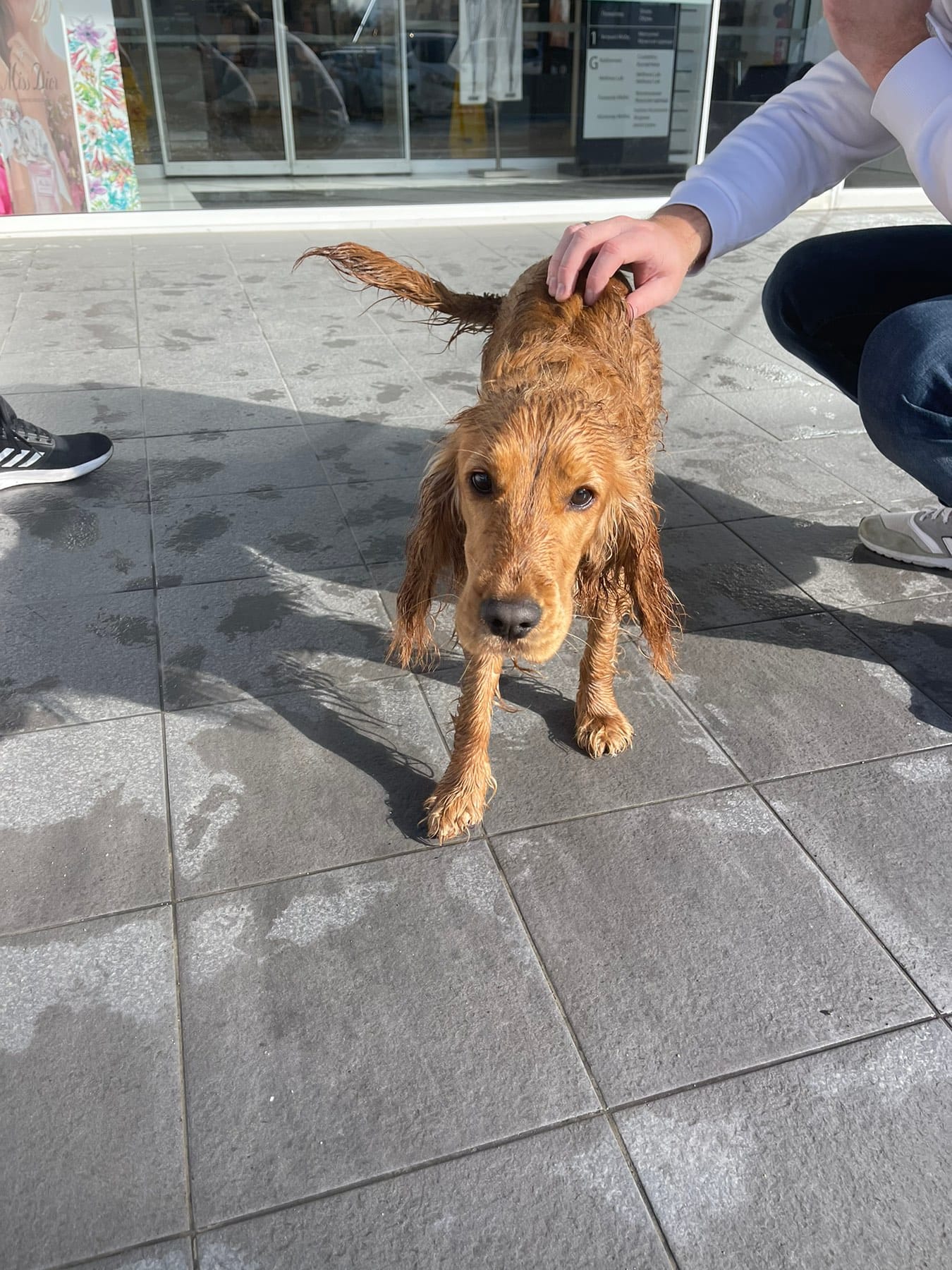 viber_image_2023-02-05_19-05-29-860