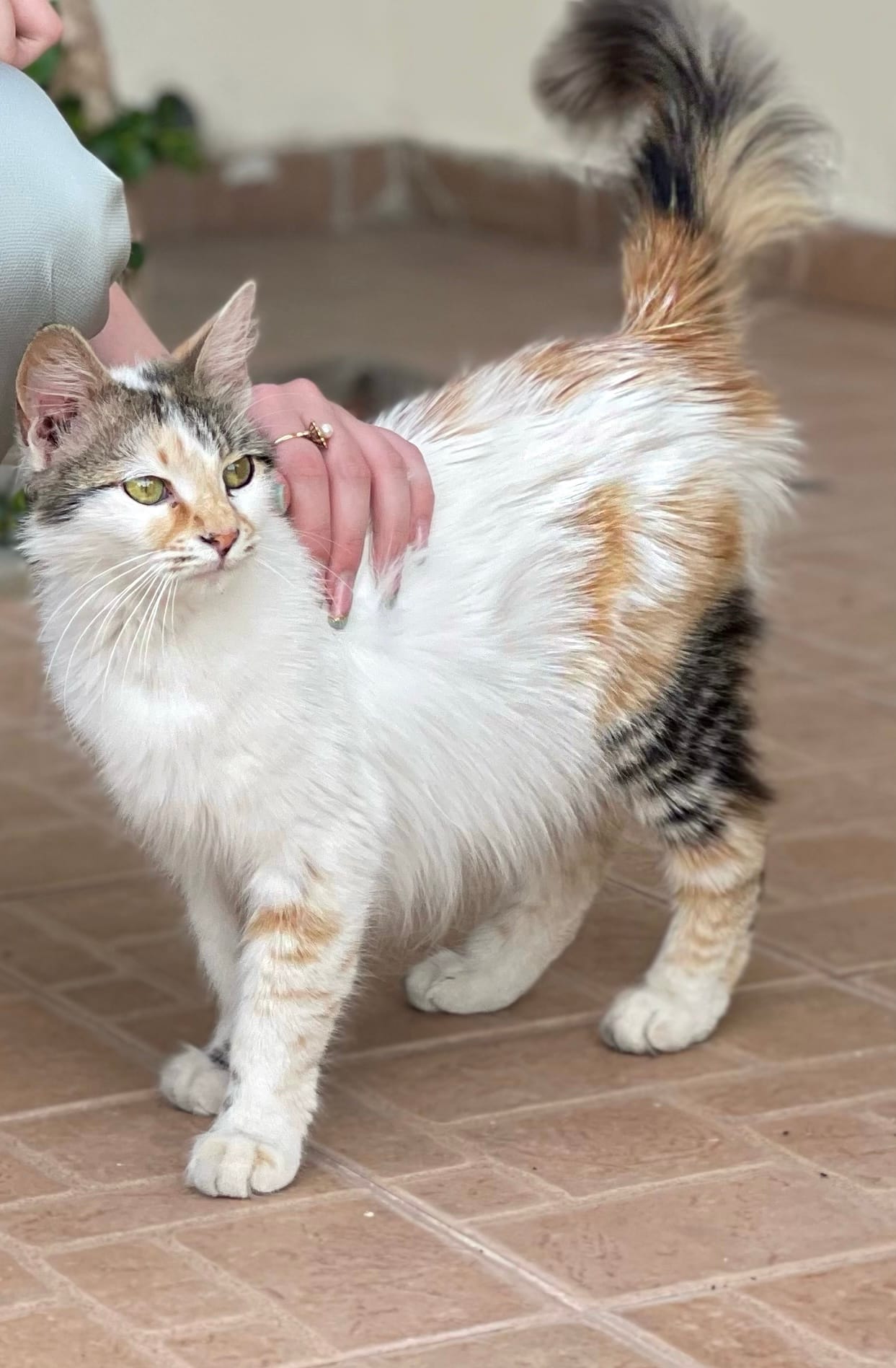 0F22F807-83C5-47B9-B248-C0EDB79FF3CE