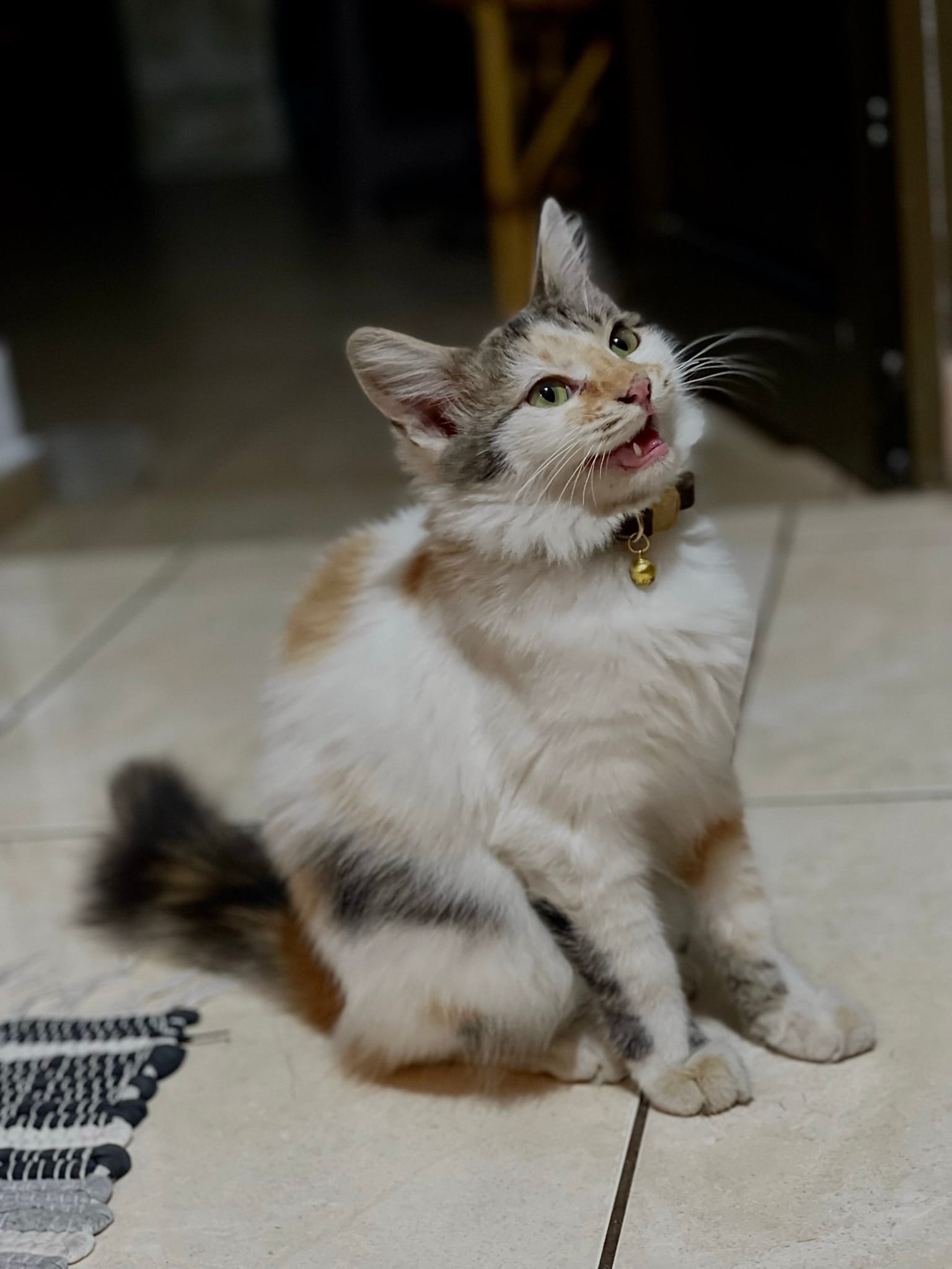 21C15A31-DEEB-4692-998A-D4206C17EB7D