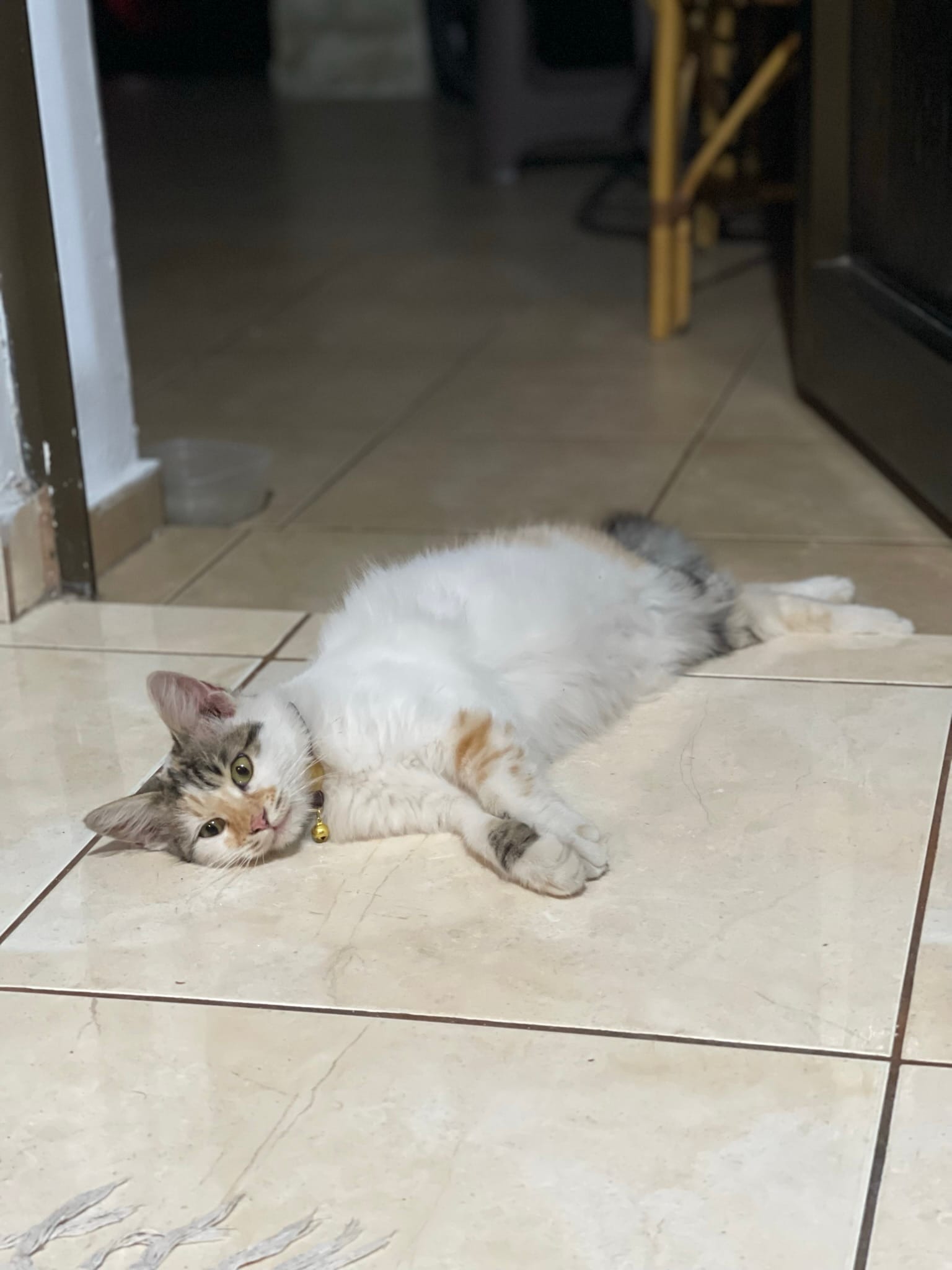 2449C0E9-A001-4D63-B970-F420378B30CF