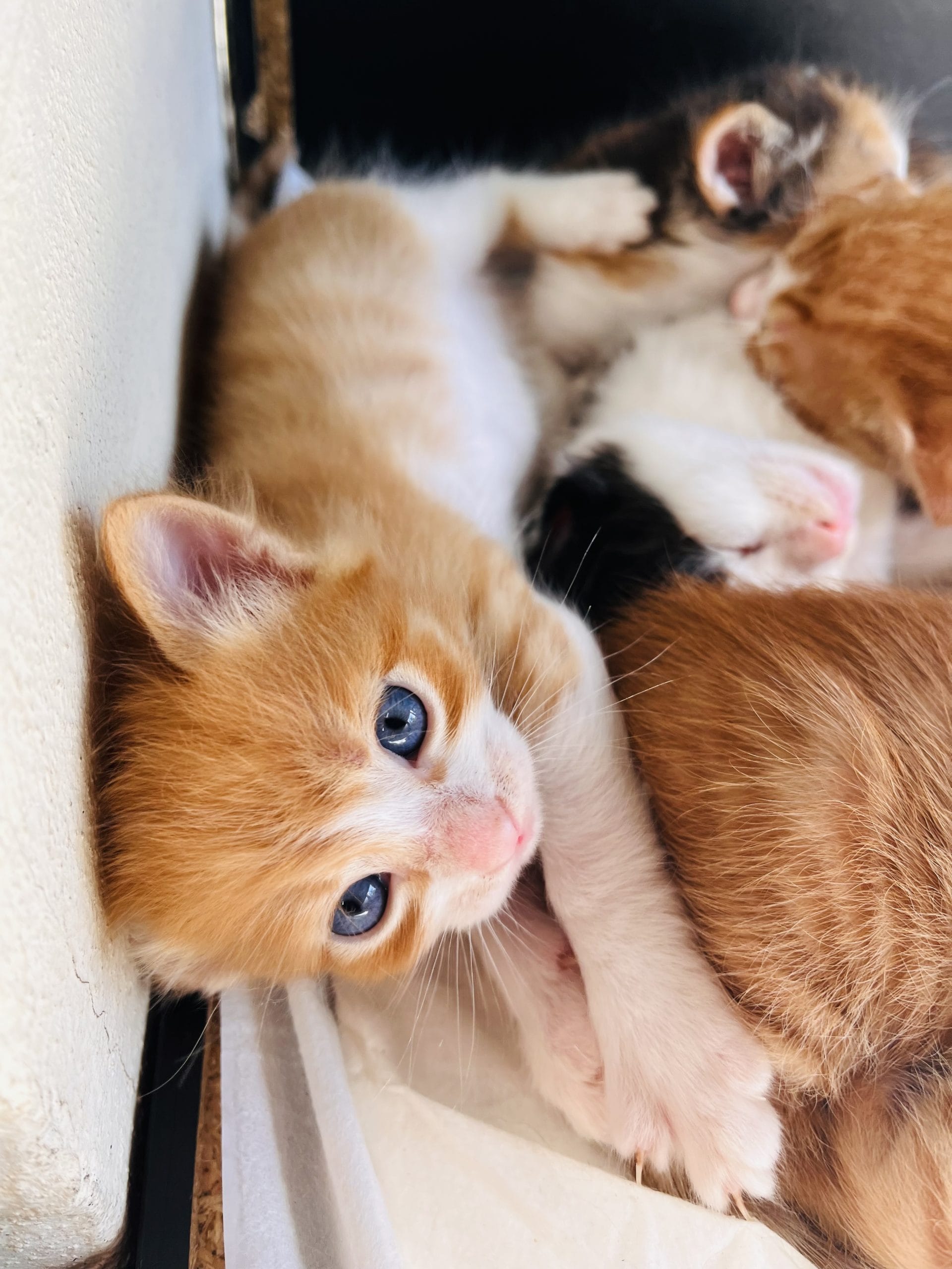 536BC822-0BD4-4200-9FDD-85E3769DA8DC