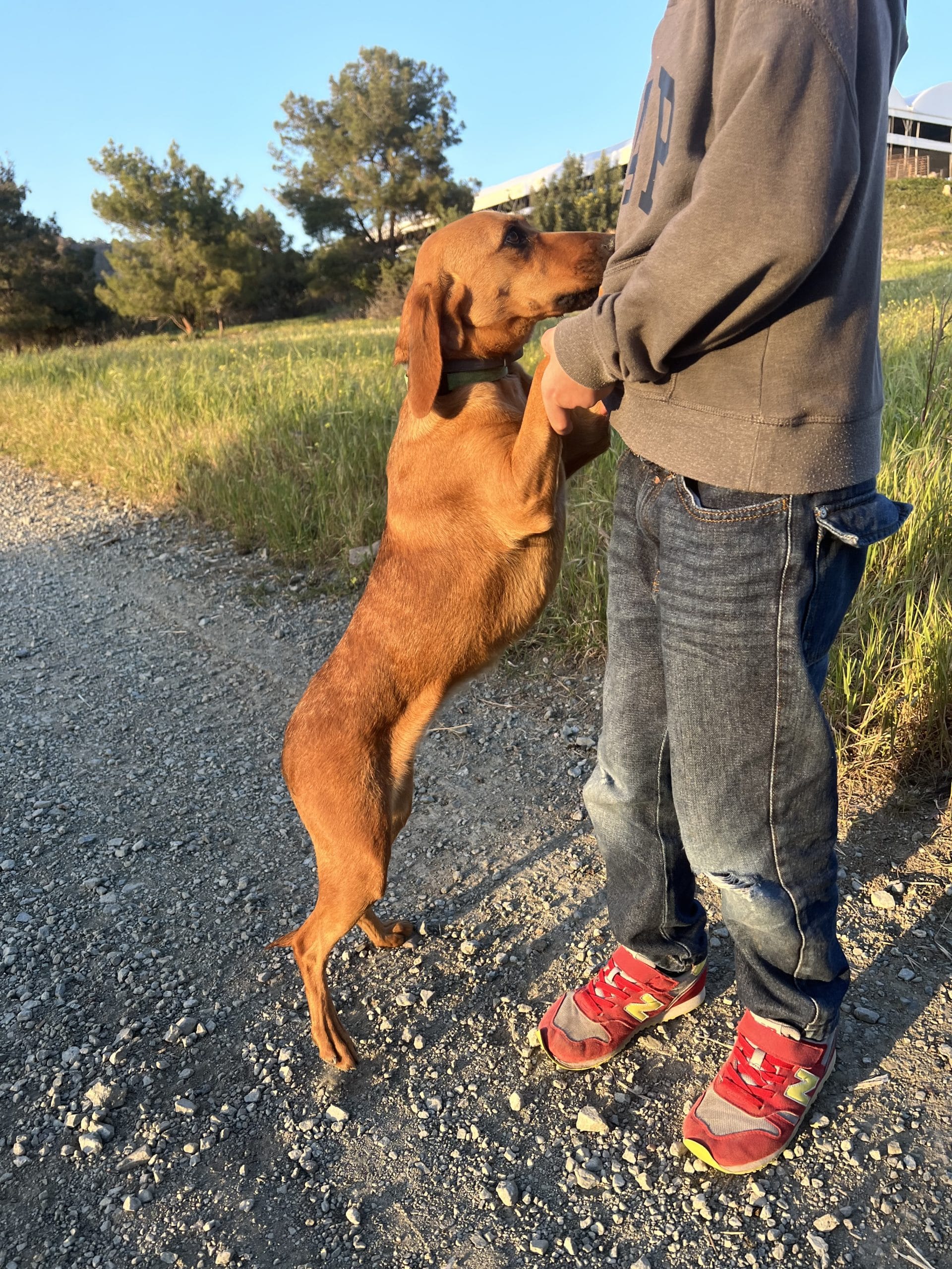 78A8FD5F-3901-4C12-82F2-3CBD63A11764