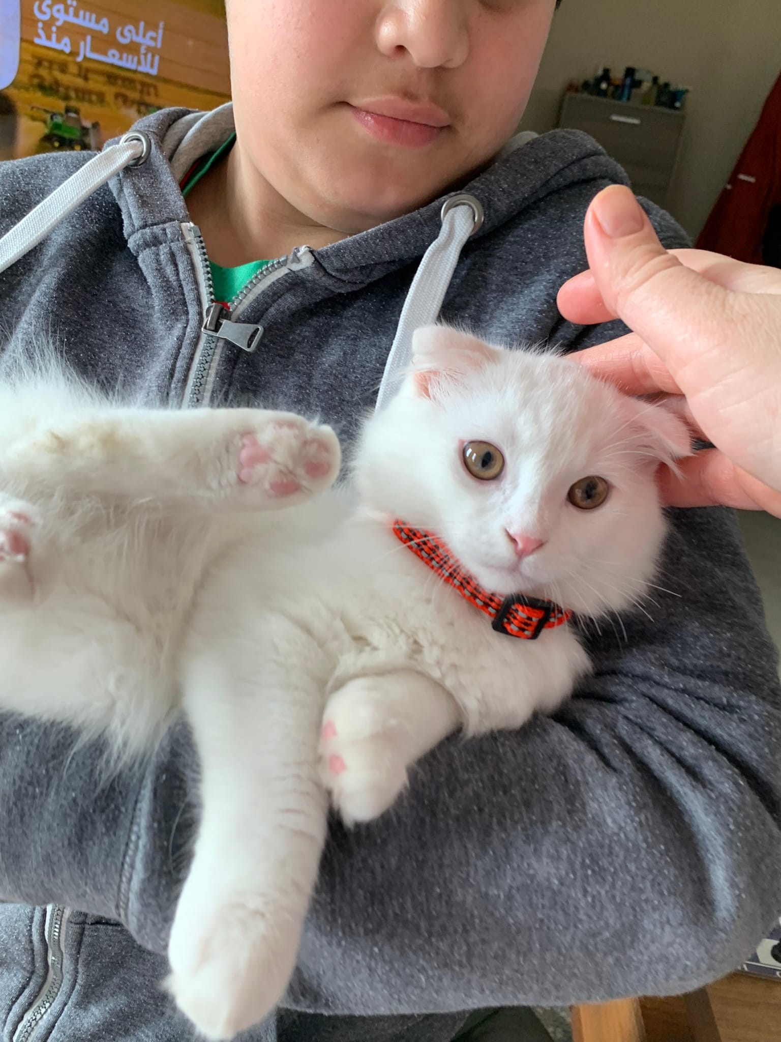 BB315DEE-435F-47FA-A8D1-AD8EC7D073DE