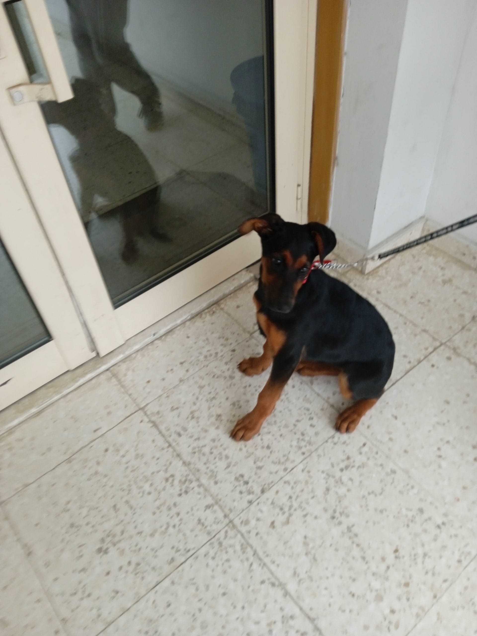 BB32CE9A-2B24-4E87-BC49-1712CA43BC85