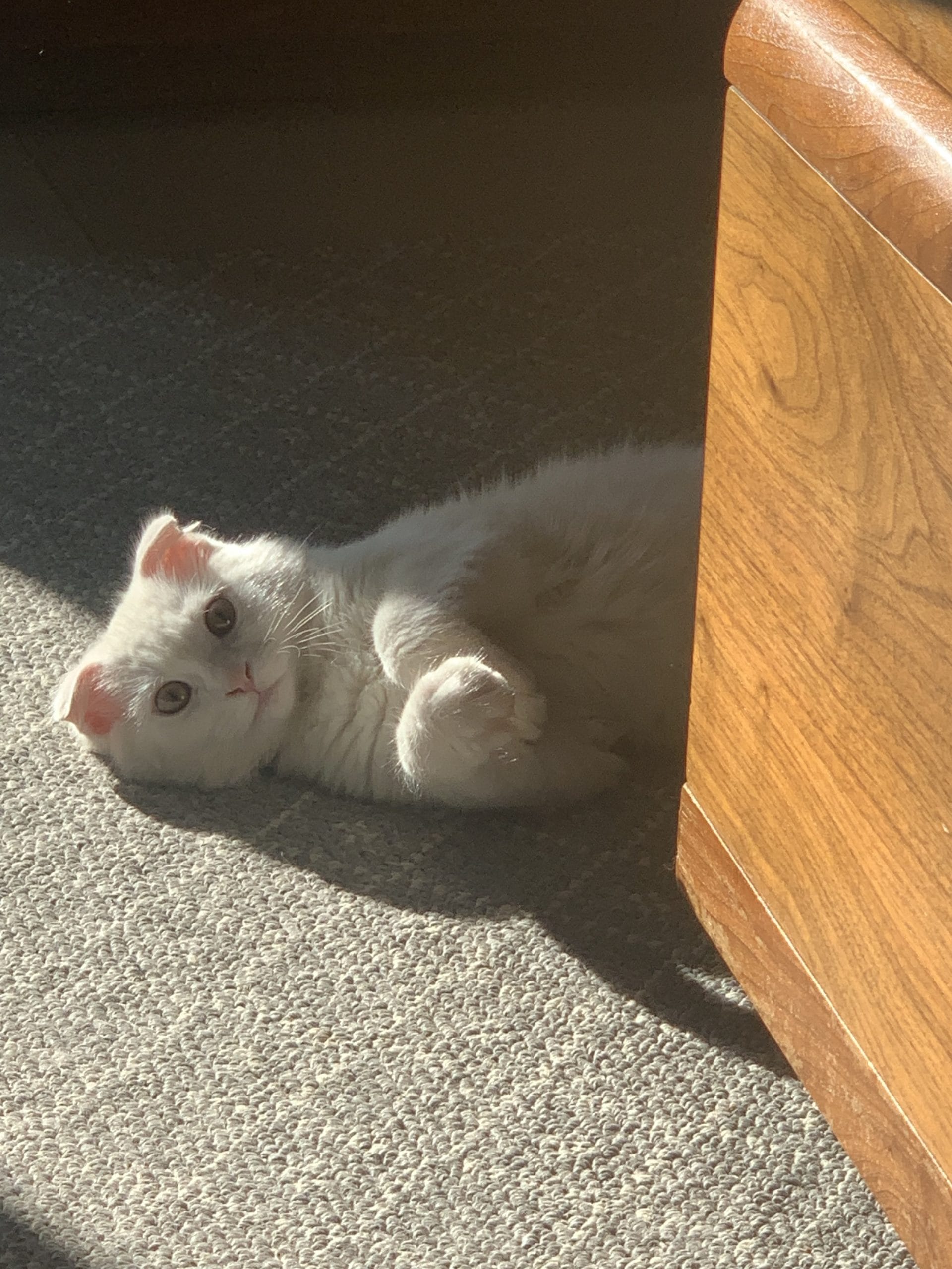 D8AB960C-4109-4186-BD2B-4E58CD6542F4