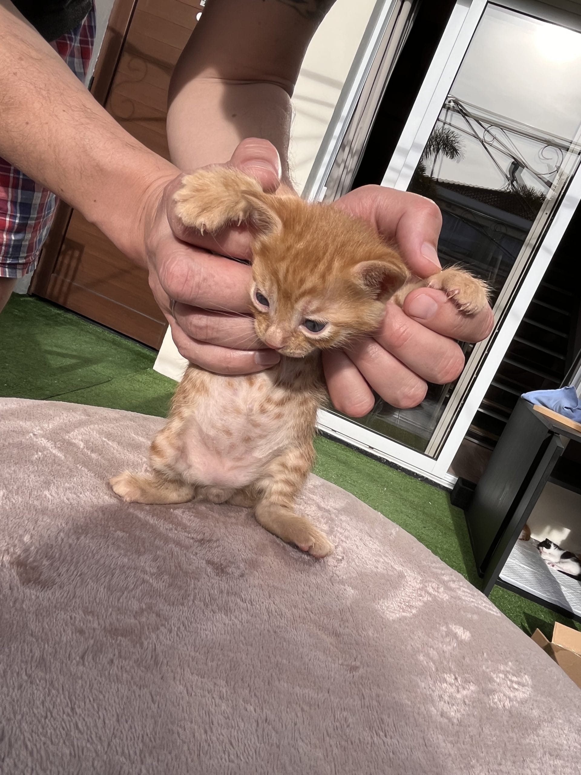 E9AA4563-5F15-490A-902B-007A021E4787