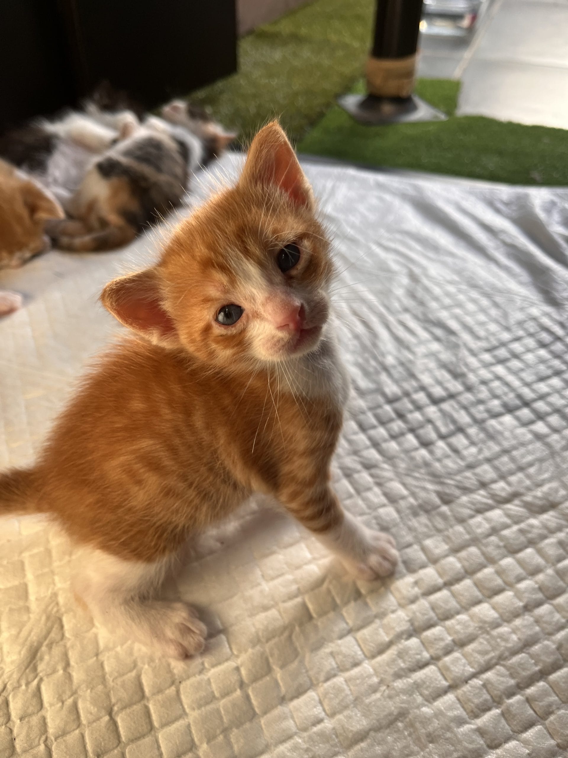 EEE1948C-72D3-40ED-9653-44AA7FE50745