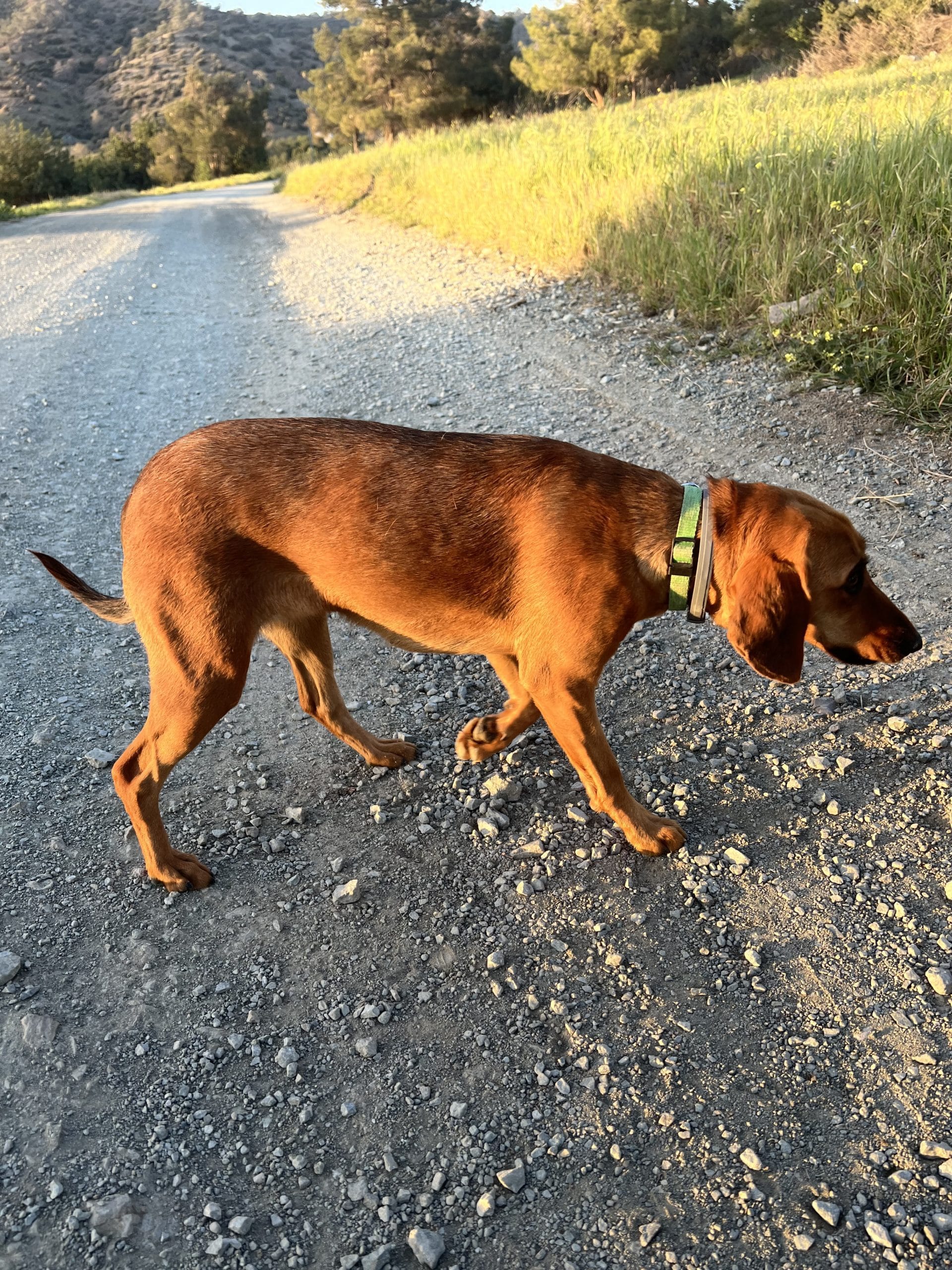 F38B0070-DF87-4A87-A944-17520D194DE3