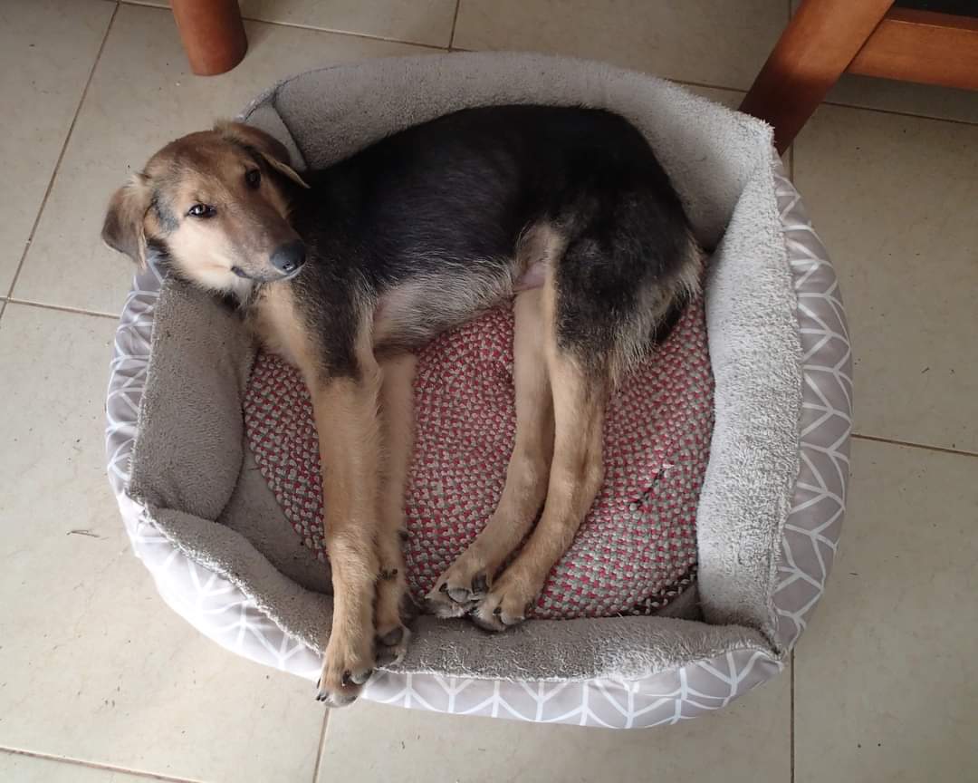 FB_IMG_1678634662795