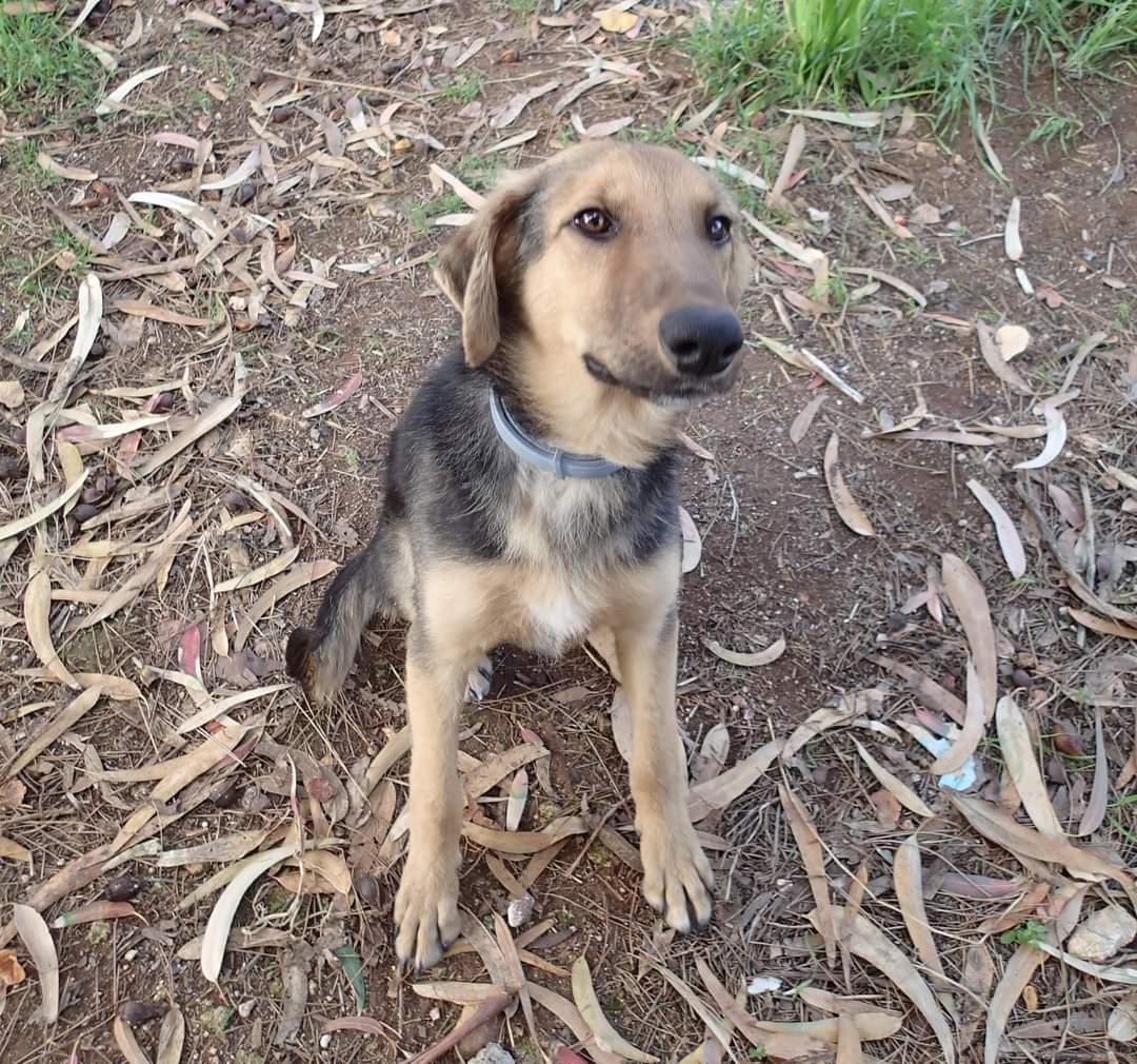 FB_IMG_1678634666743