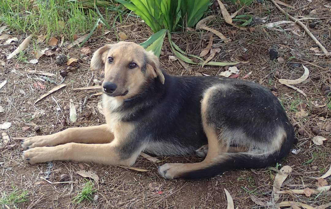 FB_IMG_1678634669454