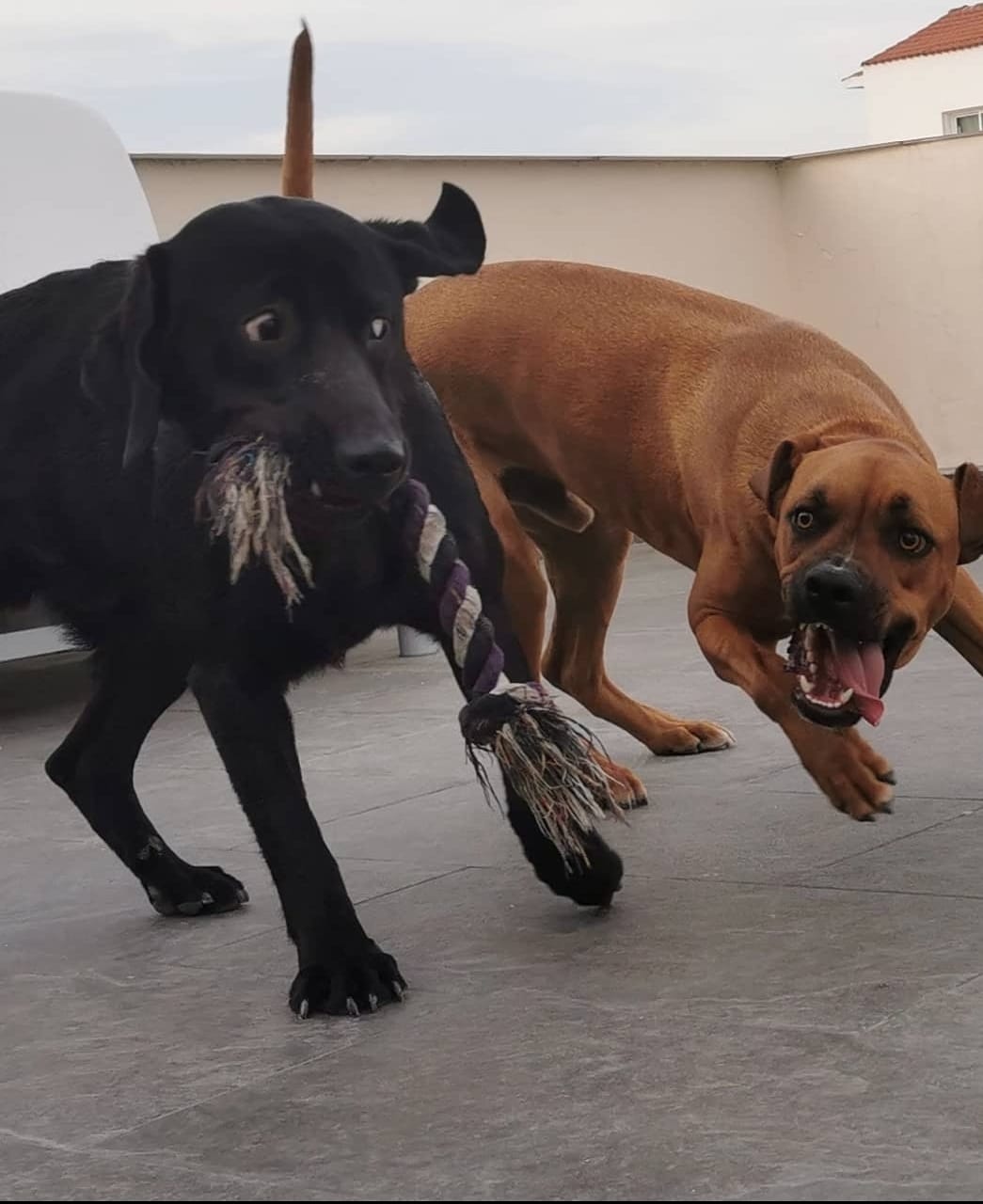 Screenshot_20221230_204604_Instagram